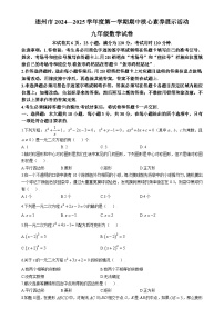 广东省清远市连州市2024-2025学年上学期期中考试九年级数学试卷-A4