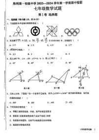 山东省东营市胜利第一初级中学2024—2025学年上学期七年级期中考试数学试题