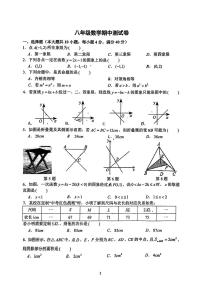安徽省合肥市第四十五中学2024-—2025学年八年级上学期数学期中测试卷