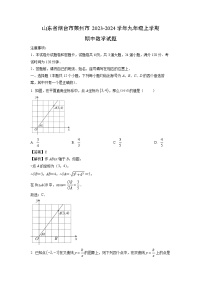 2023-2024学年山东省烟台市莱州市九年级(上)期中数学试卷(解析版)