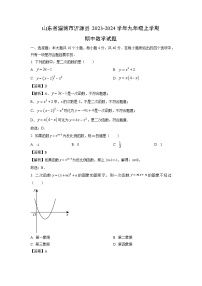 2023-2024学年山东省淄博市沂源县九年级(上)期中数学试卷(解析版)
