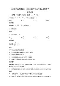 2023-2024学年山东省济南市章丘区八年级(上)期中数学试卷(解析版)