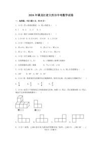 2024年黑龙江省大庆市中考数学模拟试卷（含解析版）