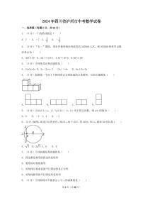 2024年四川省泸州市中考数学模拟试卷（含解析版）