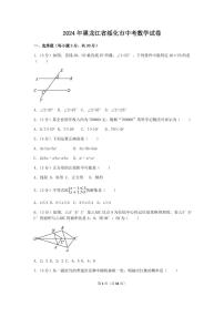 2024年黑龙江省绥化市中考数学模拟试卷（含解析版）