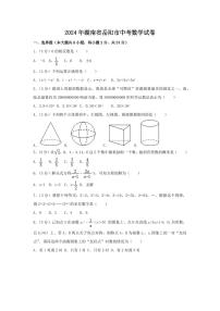 2024年湖南省岳阳市中考数学模拟试卷（含解析版）