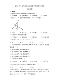 北师大版七年级数学下册期末 巩固训练试题