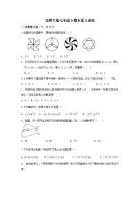 北师大版七年级下学期数学期末复习训练