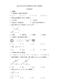 北师大版数学七年级下册 期末 达标测评试卷