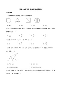 北师大版数学七年级下册 期末拔高试题训练