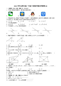 北师大版数学七年级下册期末模拟卷