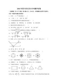 2024年四川省自贡市中考数学模拟试卷（含解析版）