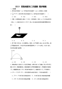 初中数学人教版（2024）九年级上册第二十二章 二次函数22.3 实际问题与二次函数课时作业