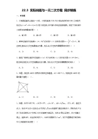 人教版（2024）九年级上册21.3 实际问题与一元二次方程随堂练习题
