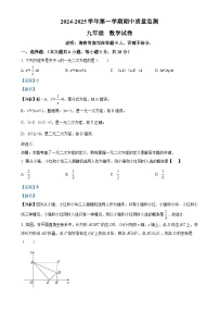 江西省萍乡市2024-2025学年九年级上学期11月期中考试数学试题（解析版）-A4