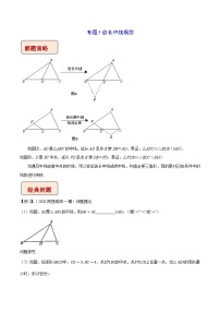 中考数学二轮复习压轴题培优训练专题5倍长中线模型（2份，原卷版+解析版）