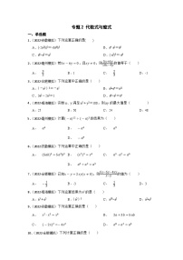 (安徽版)中考数学一轮复习专题训练专题2 代数式与整式（含答案）