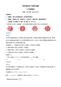 山东省临沂市罗庄区2024-2025学年九年级上学期期中考试数学试题（解析版）-A4