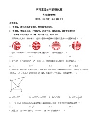 山东省临沂市罗庄区2024-2025学年九年级上学期期中考试数学试题（原卷版）-A4