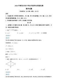 山东省青岛市2024-2025学年九年级上学期期中考试数学试题（解析版）-A4