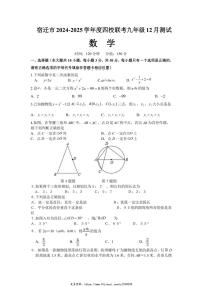 2024～2025学年江苏省宿迁市四校九年级(上)联考12月监测数学试卷(含简单答案)