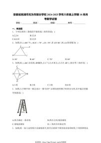 2024～2025学年安徽省芜湖市无为市部分学校八年级(上)10月月考数学试卷(含详解)