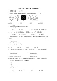北师大版八年级下册数学期末模拟训练