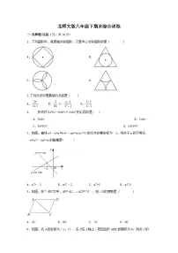 北师大版八年级下册数学期末综合训练