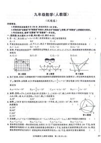 安徽省阜阳市太和县2024-2025学年九年级上学期11月期中数学试题