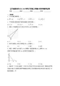 辽宁省锦州市2024-2025学年八年级上学期10月月考数学试卷(含答案)