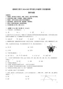湖南省长沙市岳麓区湖南师范大学附属中学2024-2025学年九年级上学期第三次月考数学试卷