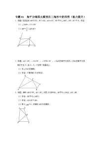 中考数学二轮培优训练 专题01  角平分线四大模型在三角形中的应用（能力提升）（2份，原卷版+解析版）