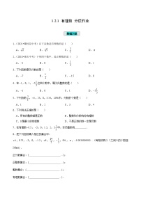 数学七年级上册1.2.1 有理数优秀课堂检测