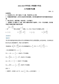 山东省泰安市肥城市2024-2025学年九年级上学期11月期中考试数学试题(1)（解析版）-A4