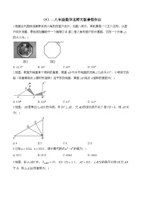 （5）—八年级数学北师大版暑假作业(含答案)