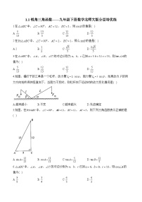 初中数学北师大版（2024）九年级下册1 锐角三角函数课时作业