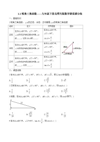 初中数学北师大版（2024）九年级下册1 锐角三角函数课后作业题