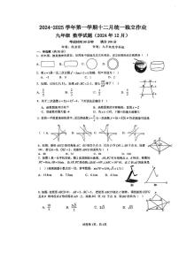 广东省深圳市龙岗区坂田实验学校2024-2025学年上学期九年级12月月考考试数学试卷