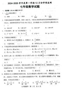 山东省济宁市金乡县2024-2025学年七年级上学期12月月考数学试题