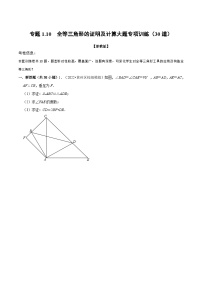 初中数学浙教版（2024）八年级上册1.4 全等三角形课时练习