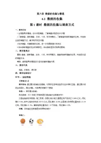 北师大版（2024）2 数据的收集第1课时教案
