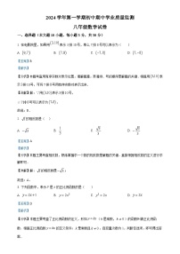 广东省清远市英德市2024-2025学年八年级上学期11月期中考试数学试题（解析版）-A4