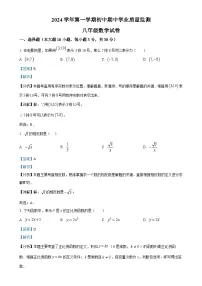 广东省清远市英德市2024-2025学年八年级上学期11月期中考试数学试题（解析版）-A4