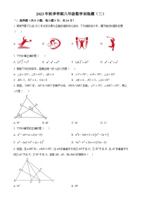 湖北省黄冈市黄梅县部分学校2023-2024学年八年级上学期月考数学试题（原卷版）-A4