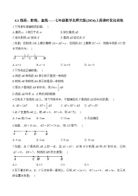 七年级上册（2024）1 线段、射线、直线精练