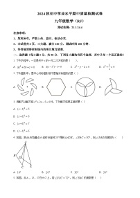 河南省安阳市2024-2025学年九年级上学期11月期中联考数学试题（原卷版）-A4