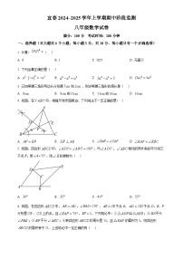 江西省宜春市实验中学2024--2025学年八年级上学期数学期中联考试卷（原卷版）-A4