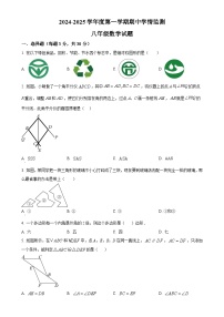 山东省济宁市金乡县2024-2025学年八年级上学期期中考试数学试题（原卷版）-A4