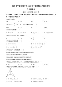 湖南省衡阳市华新实验中学2023-2024学年八年级上学期月考数学试题（原卷版）-A4