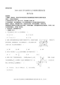 2024-2025学年深圳市九年级数学期末模拟试卷（含答案）